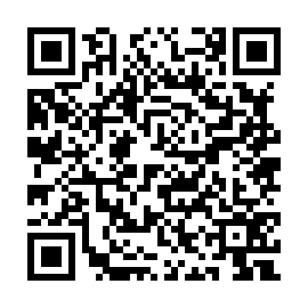 QR code for QIZ8763