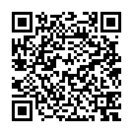 QR code for QJC0389