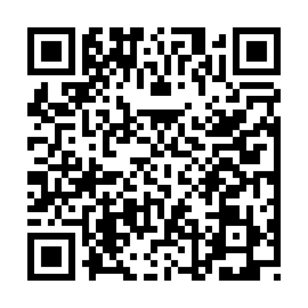 QR code for QLF0199