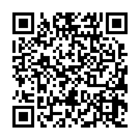 QR code for QLG2383