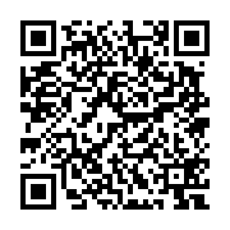 QR code for QLQ4197