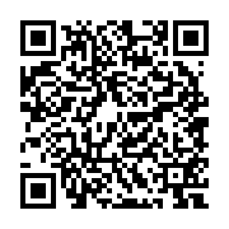 QR code for QLT2513