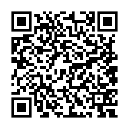 QR code for QLV9739