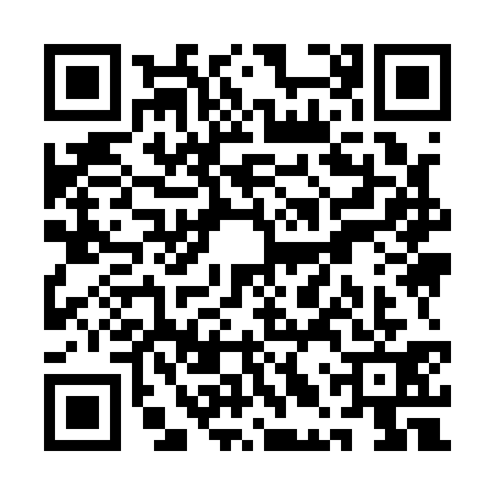 QR code for QLY1313