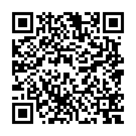 QR code for QNH4195