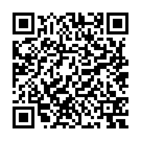 QR code for QNJ9333
