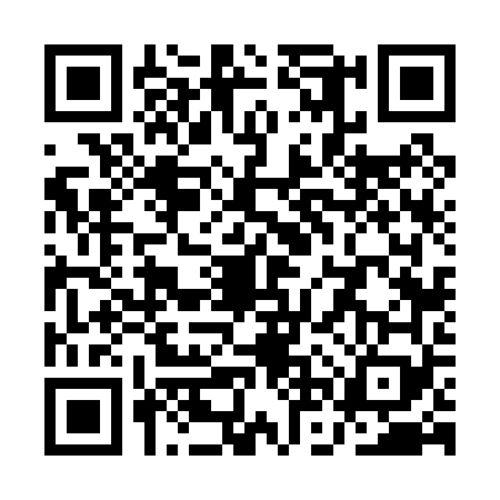QR code for QNV0699