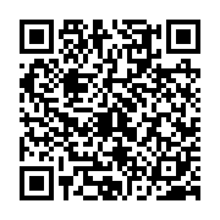 QR code for QNV2011