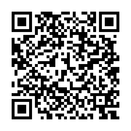 QR code for QOR4119