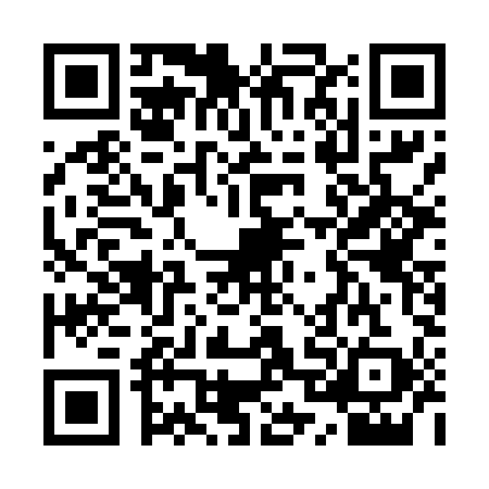QR code for QPE4993