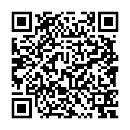 QR code for QPL4729