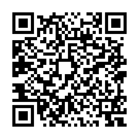 QR code for QSI5919