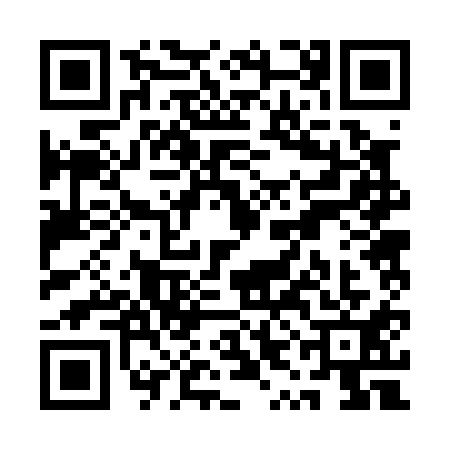 QR code for QYB0119