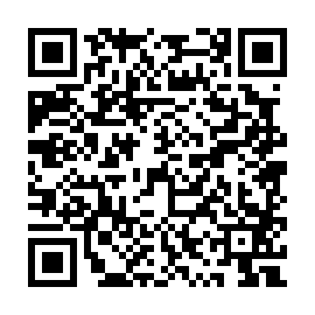 QR code for QYP0833