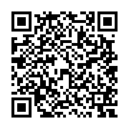 QR code for QYR0017
