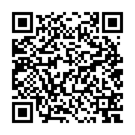 QR code for QZG2209