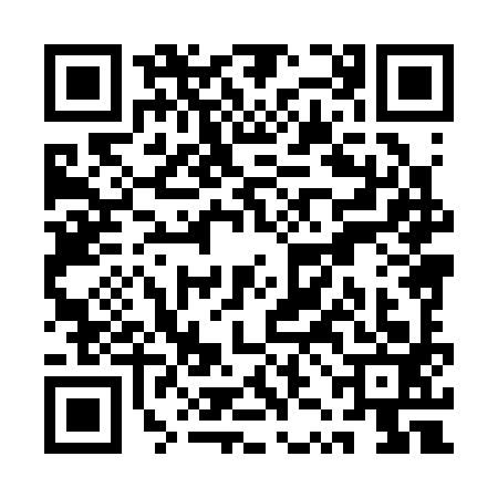 QR code for QZH3936