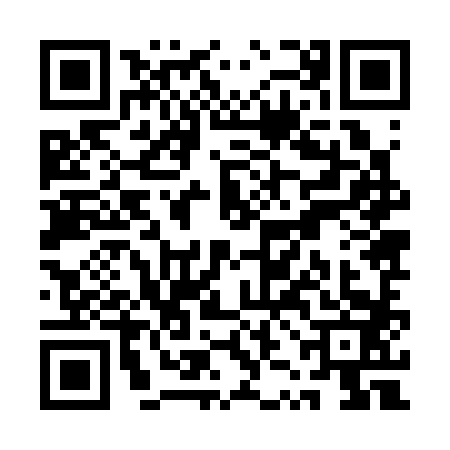 QR code for QZJ3833