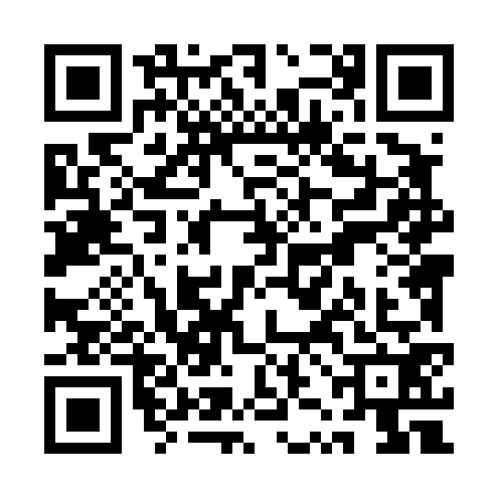 QR code for QZL4728