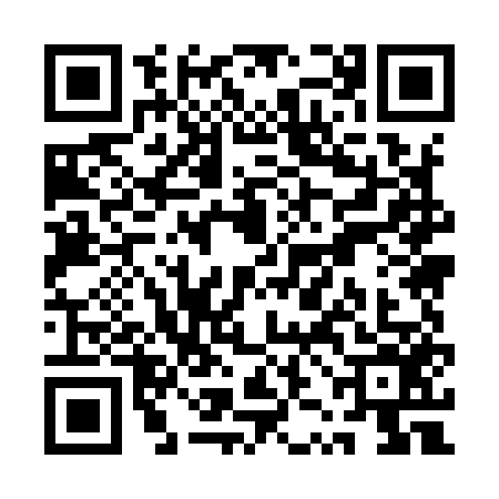 QR code for QZM9569