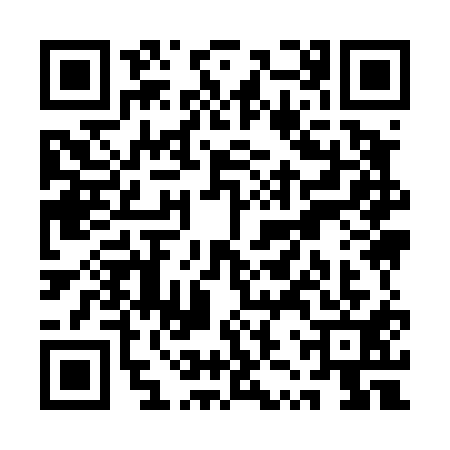 QR code for QZY4119