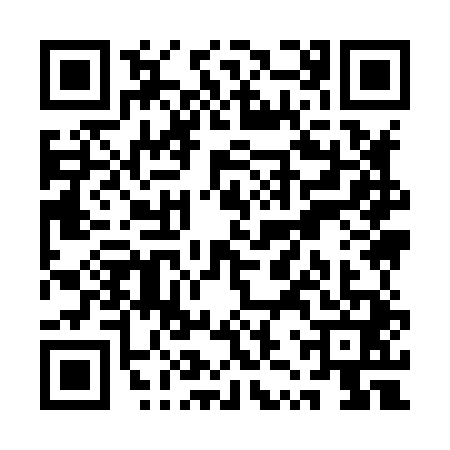 QR code for QZY8419