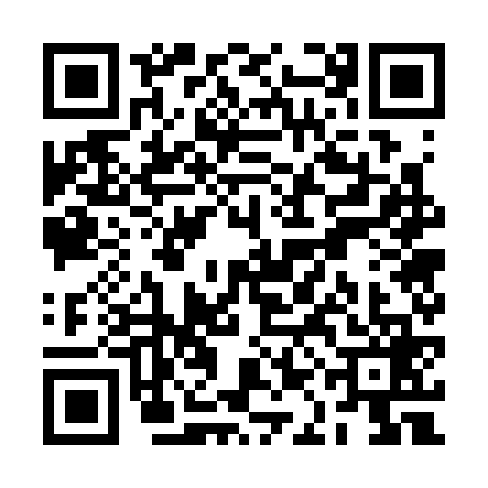 QR code for RAG3691