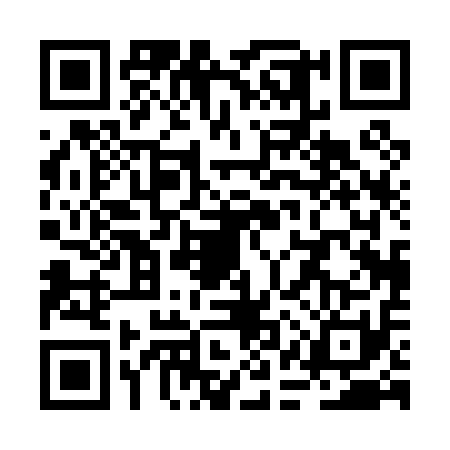 QR code for RAP0110