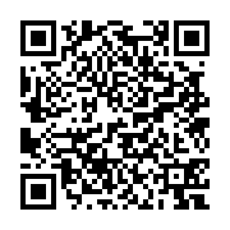 QR code for RAS0308