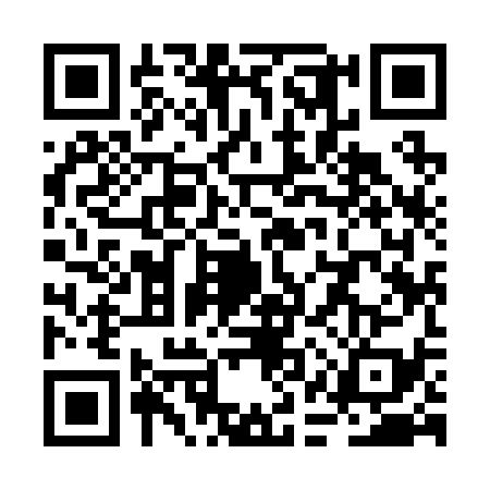 QR code for RAY2392
