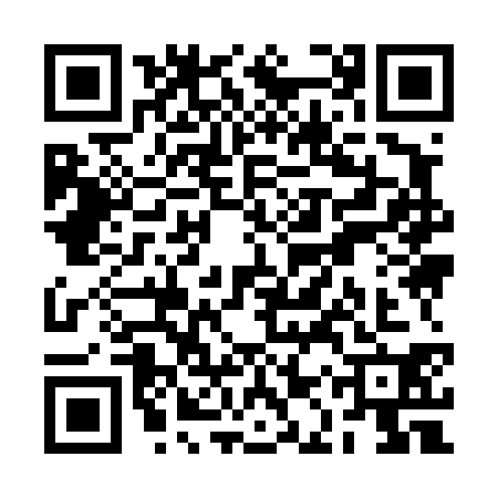 QR code for RAY4300