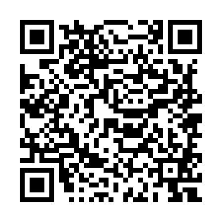 QR code for RCZ9813