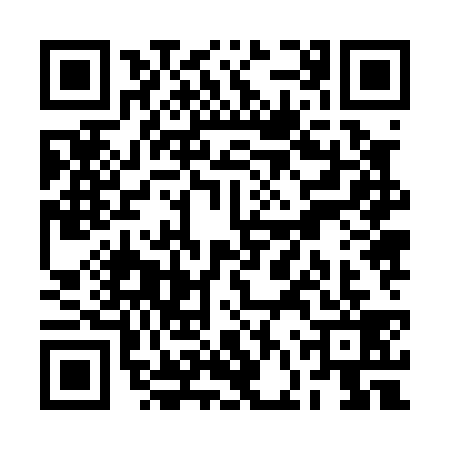 QR code for RFZ0399
