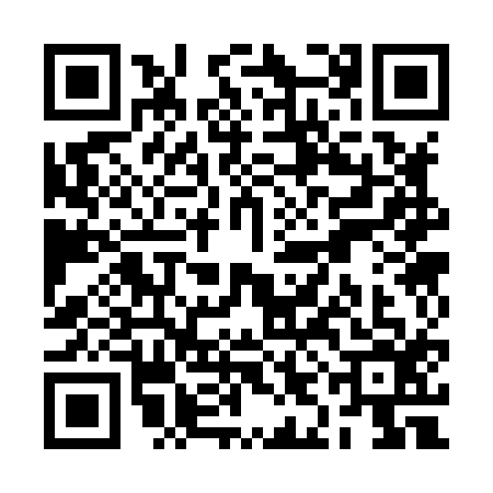 QR code for RIC8169