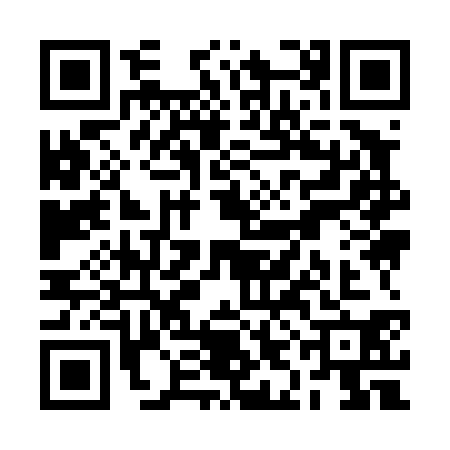 QR code for RII4306