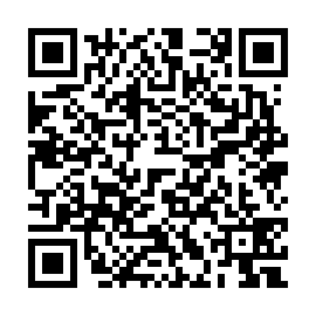 QR code for RLQ6395