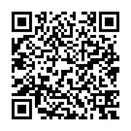 QR code for RLX7381