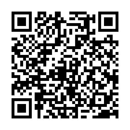 QR code for RNP2381