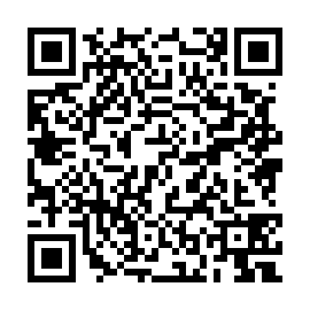 QR code for ROX5383