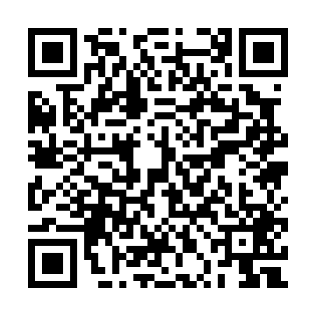 QR code for RPA0493