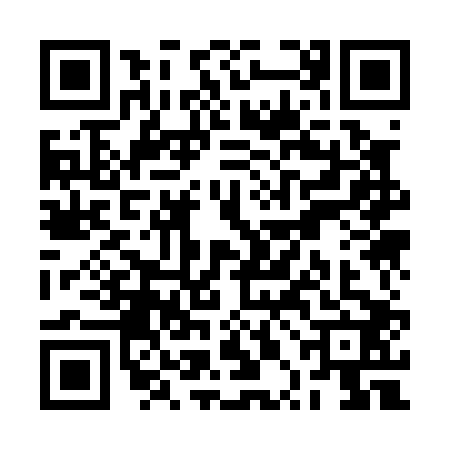 QR code for RPK0029