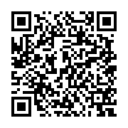 QR code for RPO4541