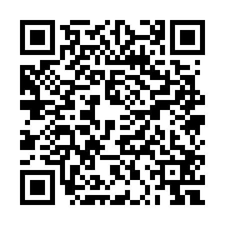 QR code for RPQ7029