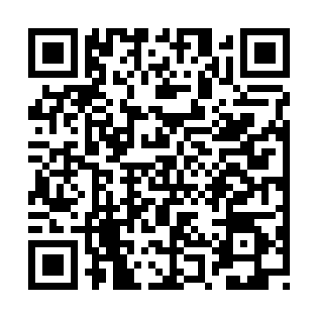 QR code for RPV2040