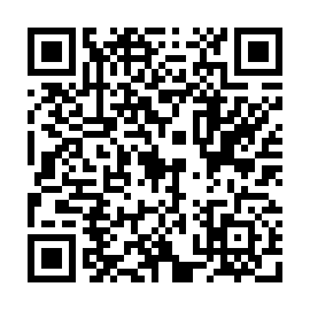 QR code for RPZ7729