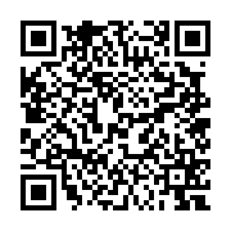 QR code for RSG0653