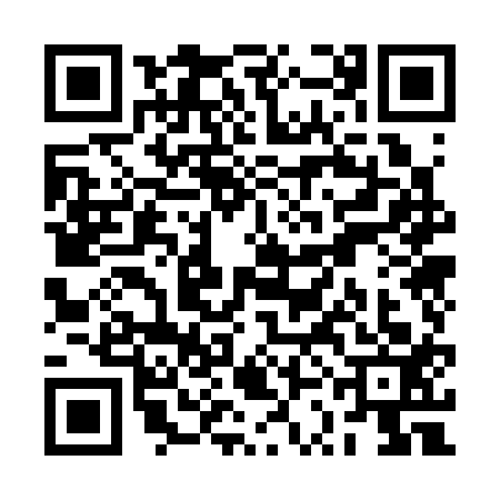 QR code for RSO3133
