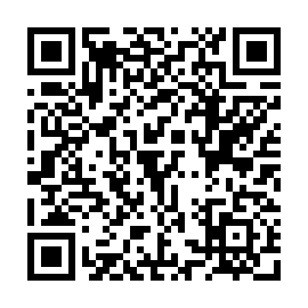 QR code for RSX6313