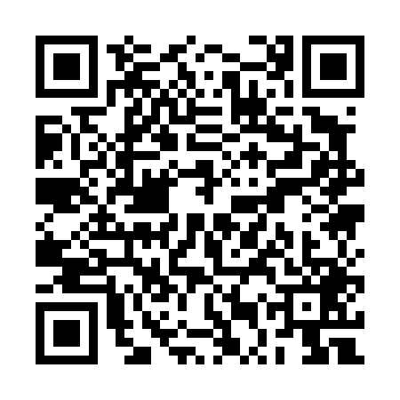 QR code for RUQ4493