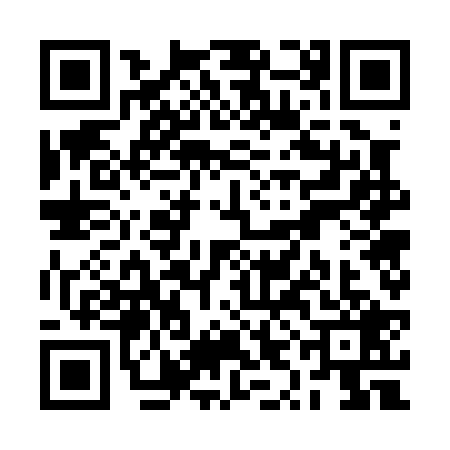 QR code for RYG0294